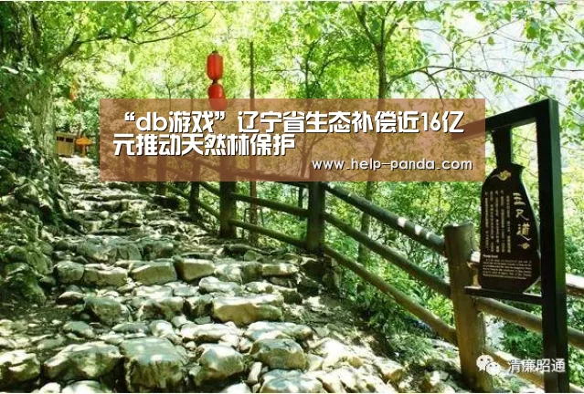 “db游戏”辽宁省生态补偿近16亿元推动天然林保护