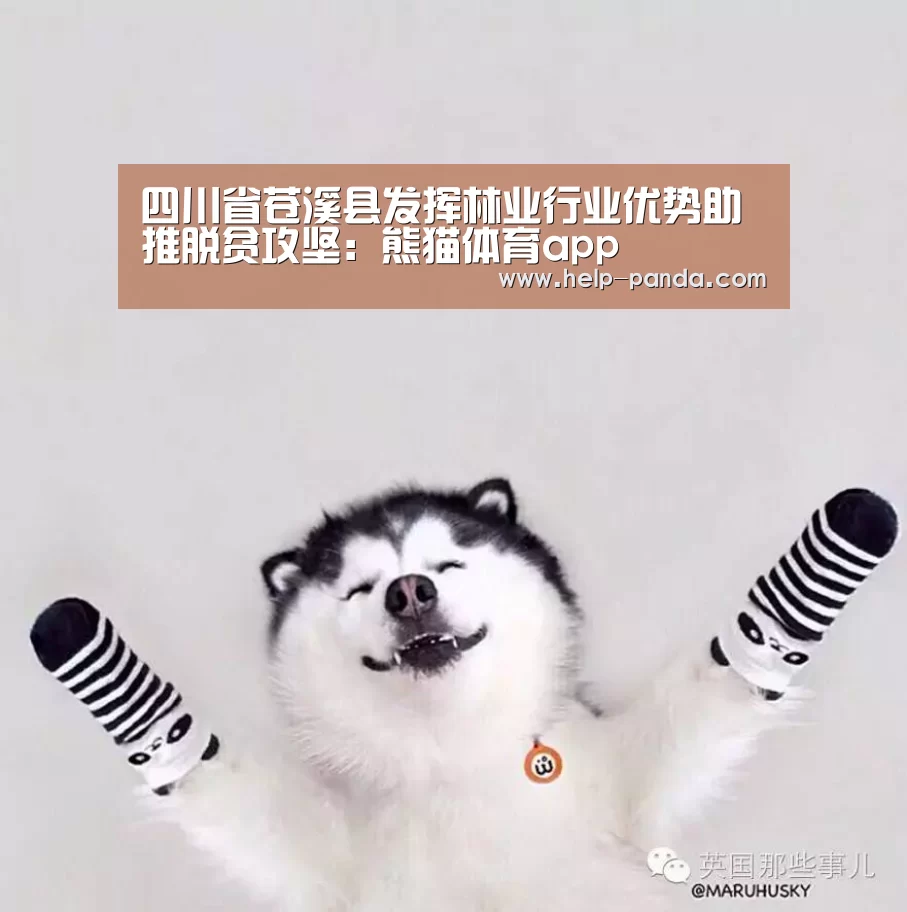 四川省苍溪县发挥林业行业优势助推脱贫攻坚：熊猫体育app