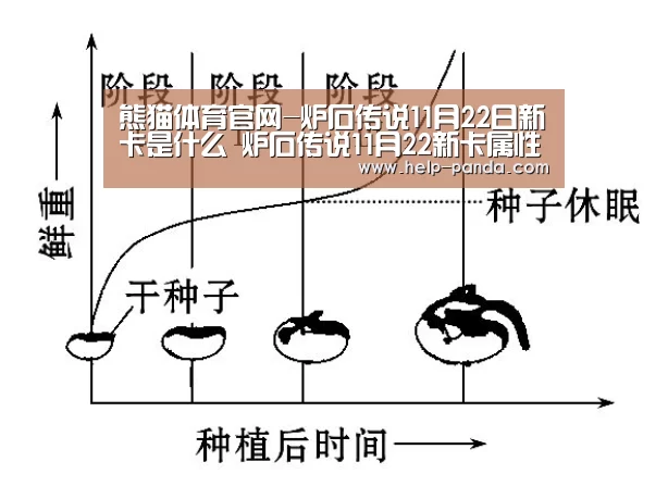 熊猫体育官网-炉石传说11月22日新卡是什么 炉石传说11月22新卡属性介绍