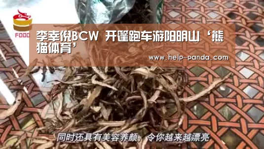 李幸倪BCW 开篷跑车游阳明山‘熊猫体育’