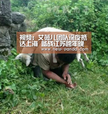 视频：艾薇儿团队深夜抵达上海 备战江苏跨年晚会_熊猫体育app